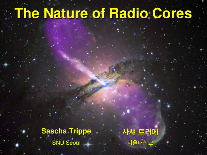 the nature of radio cores the nature of radio cores