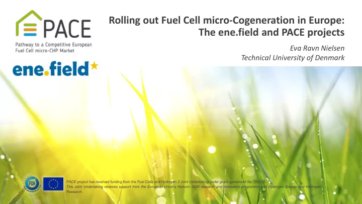 rolling out fuel cell micro cogeneration in europe the
