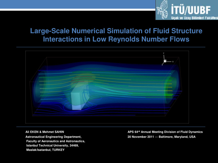 large scale numerical simulation of fluid structure