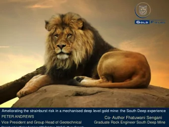 Co- Author Fhatuwani Sengani  Vice President and Group Head of Geotechnical            Graduate