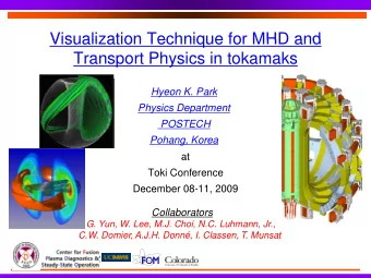 Visualization Technique for MHD and  Visualization Technique for MHD and  Transport Physics in