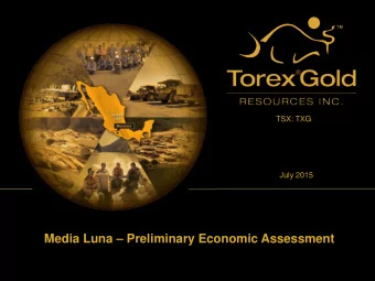 Media Luna  Preliminary Economic Assessment  Safe Harbour Statement The preliminary economic