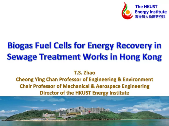 cheong ying chan professor of engineering environment