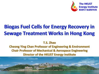 Cheong Ying Chan Professor of Engineering &amp; Environment  Chair Professor of Mechanical &amp;