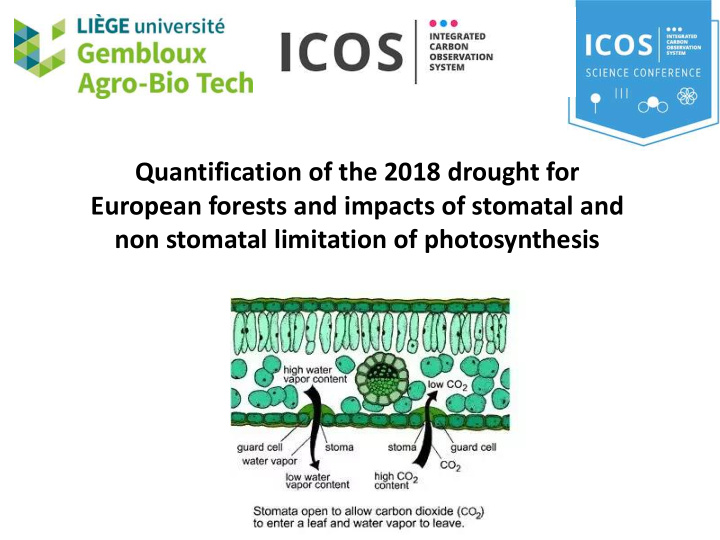 non stomatal limitation of photosynthesis european 2018