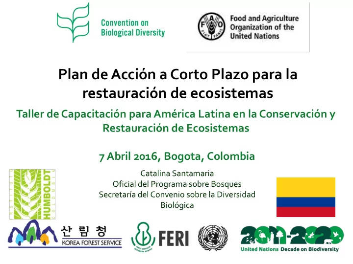plan de acci n a corto plazo para la restauraci n de
