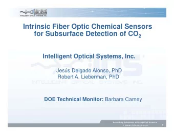 Intrinsic Fiber Optic Chemical Sensors for Subsurface Detection of CO 2  Intelligent Optical