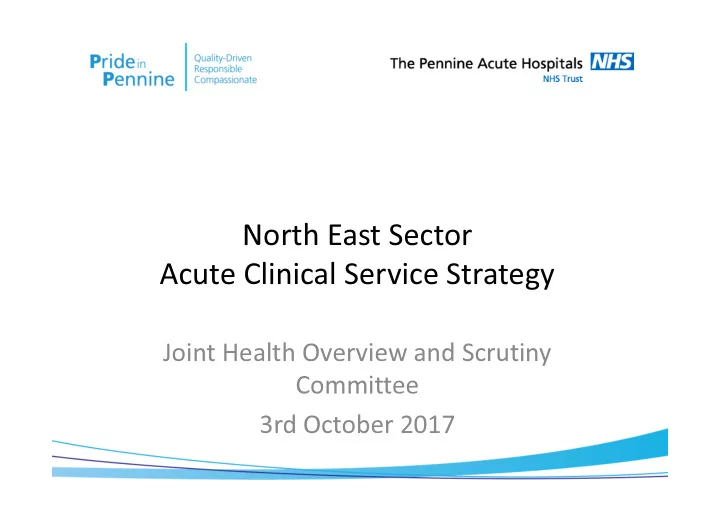 north east sector acute clinical service strategy