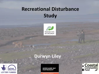 Recreational Disturbance  Study  Durwyn Liley  Today  Defining disturbance  Fieldwork results