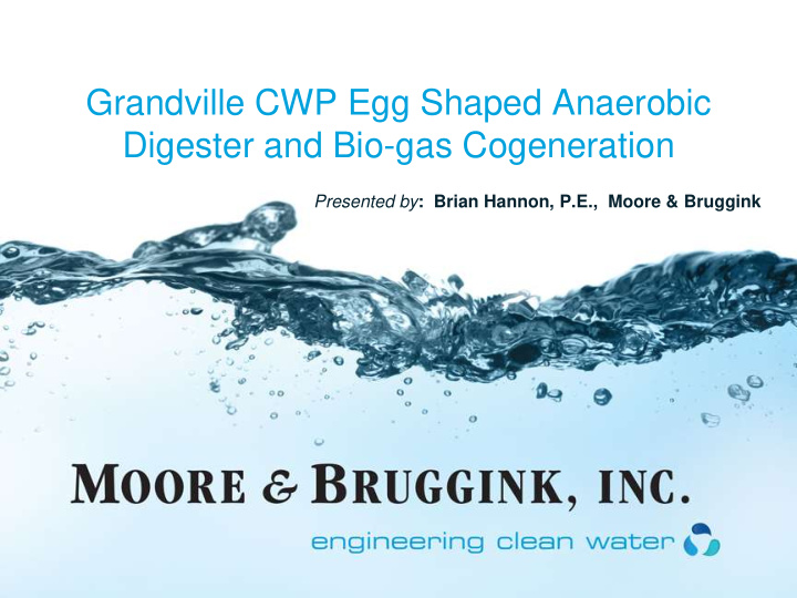 grandville cwp egg shaped anaerobic digester and bio gas