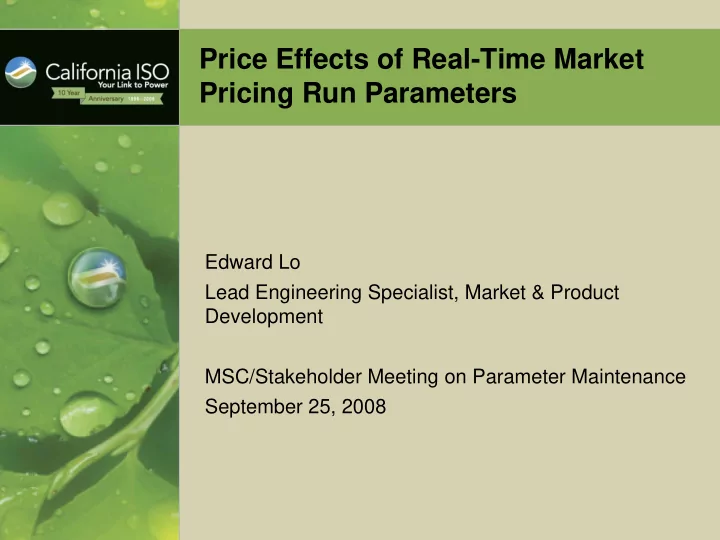 price effects of real time market pricing run parameters