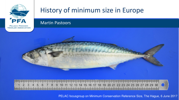 history of minimum size in europe