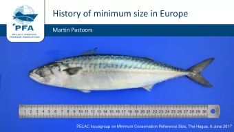 History of minimum size in Europe  Martin Pastoors  PELAC focusgroup on Minimum Conservation