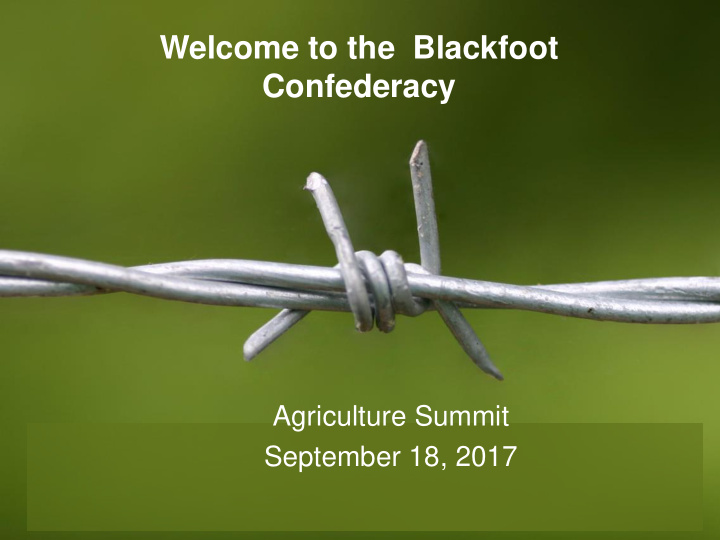 welcome to the blackfoot confederacy