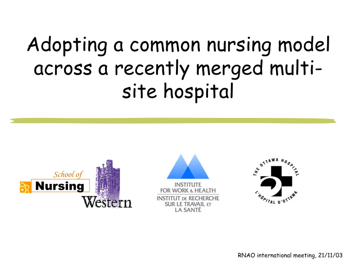 adopting a common nursing model across a recently merged