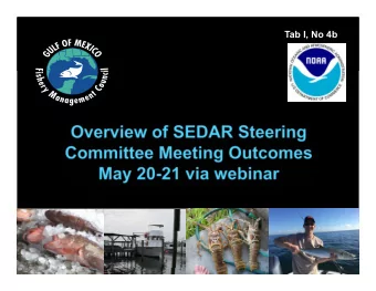 Tab I, No 4b  SEDAR Projects Report  SEDAR Process Review and Discussion  Assessment