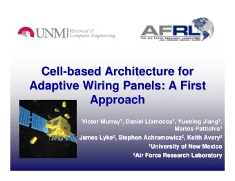 Cell-  -based Architecture for  based Architecture for  Cell  Adaptive Wiring Panels: A First