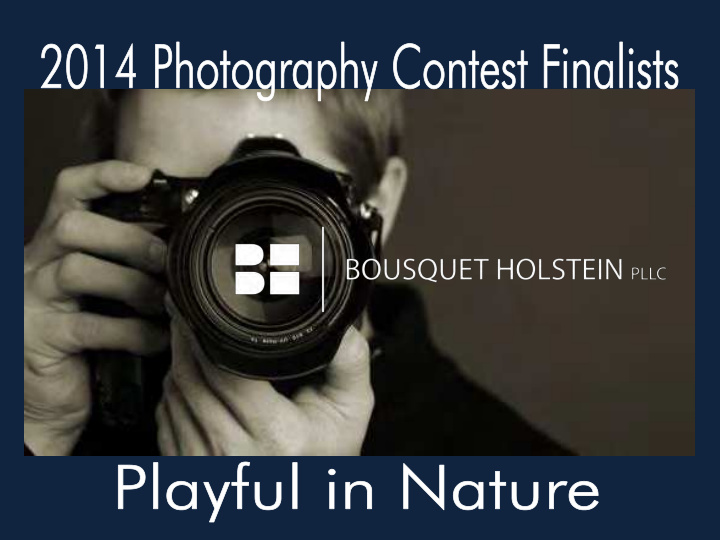 2014 bousquet holstein photo contest finalists