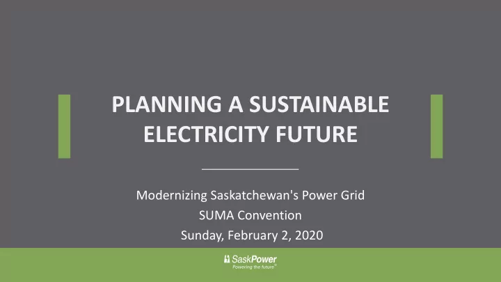 planning a sustainable electricity future