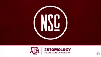 ADVISING TEAM  MS. ANN POOL  SR. ACADEMIC ADVISOR  404 HEEP BLDG.  annpool@tamu.edu