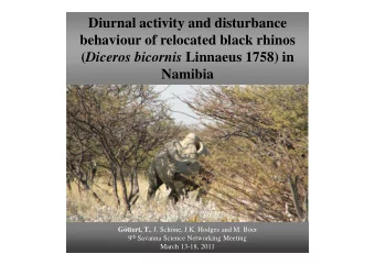 Diurnal activity and disturbance  behaviour of relocated black rhinos ( Diceros bicornis Linnaeus