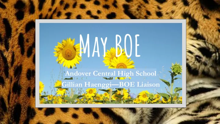 may boe