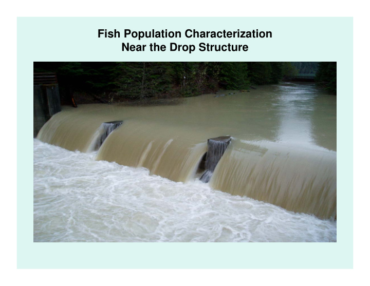 fish population characterization near the drop structure