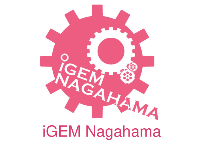 igem nagahama nagahama specialty products of nagahama