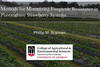 Methods for Minimizing Fungicide Resistance in  Plasticulture Strawberry Systems  Phillip M.