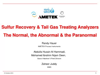 Randy Hauer  AMETEK Process Instruments  Abdulla Husain Al Hammadi,  Mohamed Ibrahim Nijam Deen,