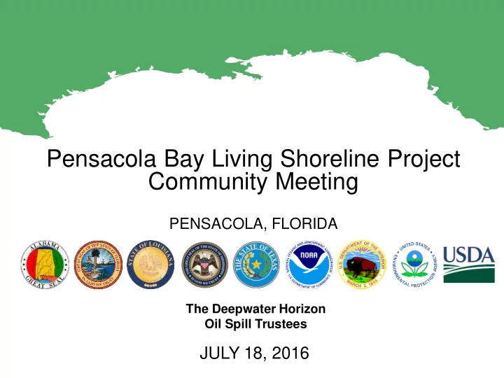 pensacola bay living shoreline project community meeting