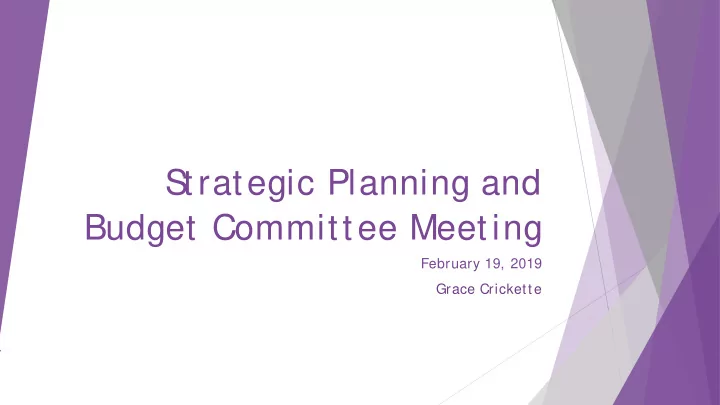 strategic planning and budget committee meeting