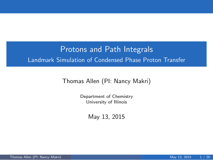 protons and path integrals