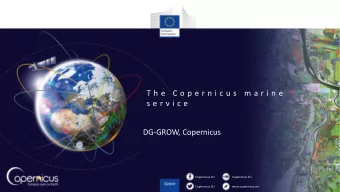 s e r v i c e  DG-GROW, Copernicus  Copernicus EU  Copernicus EU  Copernicus EU  www.copernicus.eu
