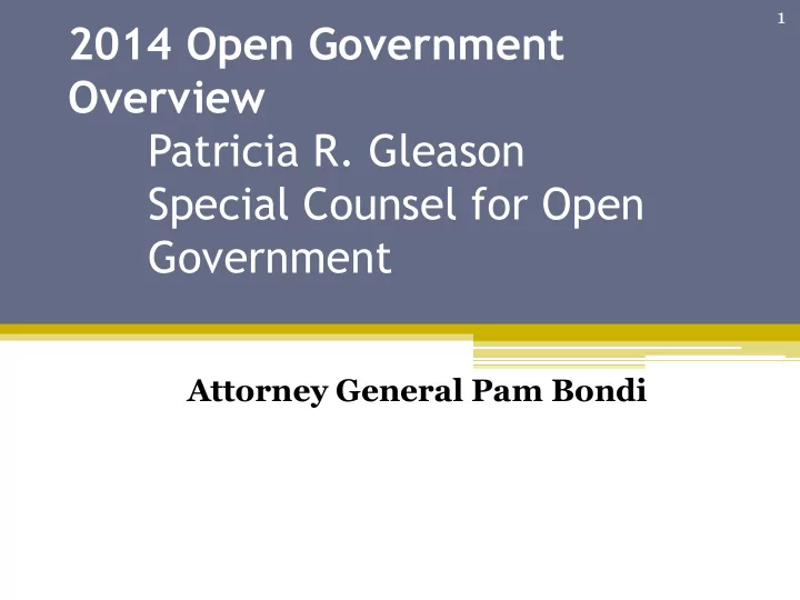 special counsel for open