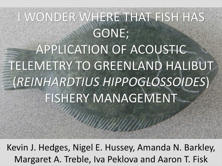 i wonder where that fish has gone application of acoustic