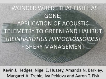 I WONDER WHERE THAT FISH HAS  GONE;  APPLICATION OF ACOUSTIC  TELEMETRY TO GREENLAND HALIBUT (