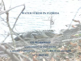 WATER STRESS IN FLORIDA  GII WORKSHOP  UNIVERSITY OF INDONESIA  CARDIFF UNIVERSITY