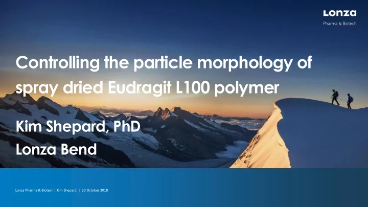 spray dried eudragit l100 polymer