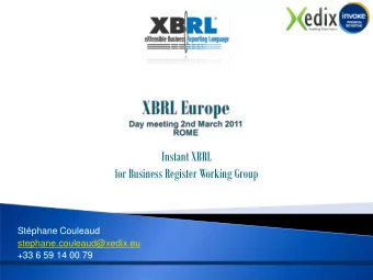 Instant XBRL  for Business Register Working Group  Stphane Couleaud  stephane.couleaud@xedix.eu