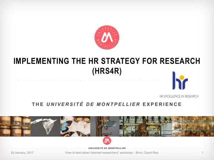 implementing the hr strategy for research hrs4r