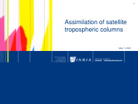 assimilation of satellite tropospheric columns