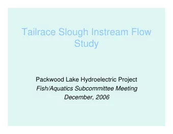 Tailrace Slough Instream Flow  Study  Packwood Lake Hydroelectric Project  Fish/Aquatics