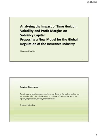 Analyzing the Impact of Time Horizon,  Volatility and Profit Margins on  Solvency Capital: