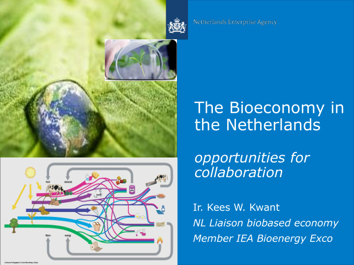 the bioeconomy in the netherlands