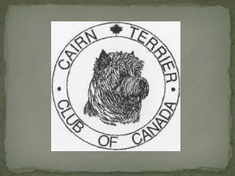The Canadian Cairn Terrier Standard History  The Cairn Terrier standard initially fell under the
