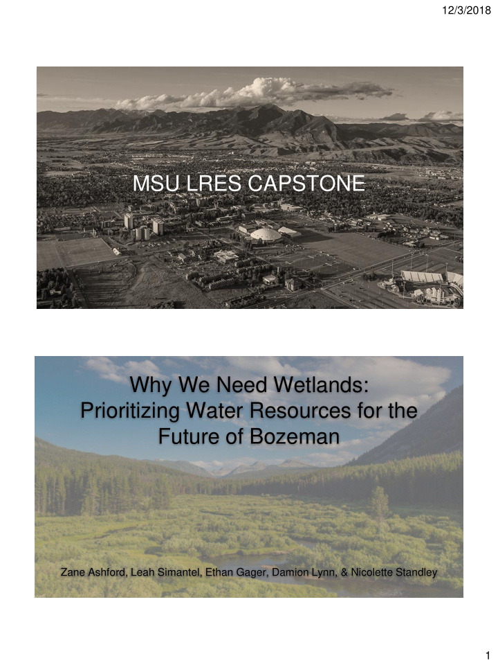 msu lres capstone why we need wetlands prioritizing water