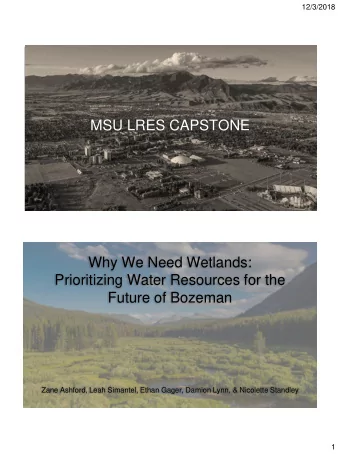 MSU LRES CAPSTONE  Why We Need Wetlands:  Prioritizing Water Resources for the  Future of Bozeman