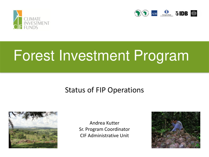 forest investment program