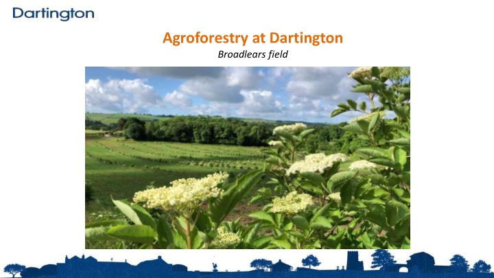 agroforestry at dartington